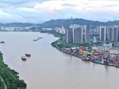 广东省西江流域国土绿化示范项目座谈会召开