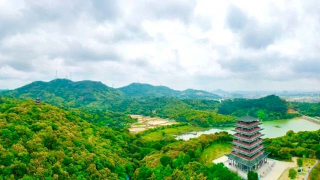 绿美东莞三年见成效：城乡皆绿产业兴，生态美景入画来