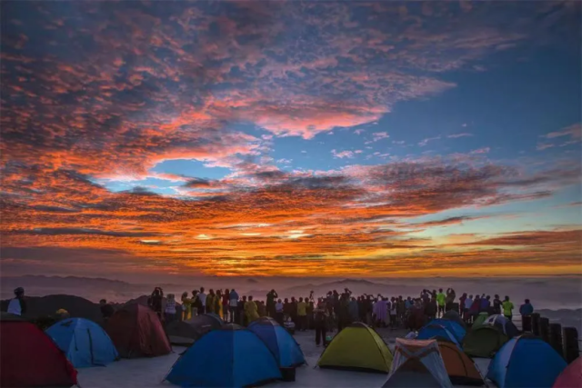 图源：阳山发布