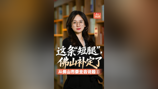 南方视评｜这条“短腿”，佛山补定了