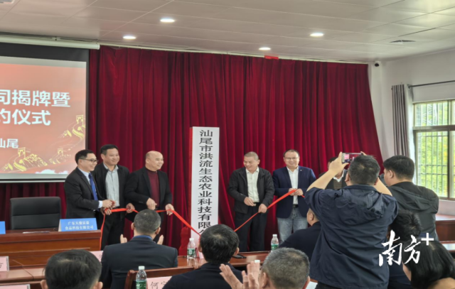 洪流村强村公司揭牌成立。受访者供图。