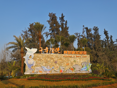 茂名博贺镇锚定“五年显著变化”，攻坚“百千万工程”谋全域发展