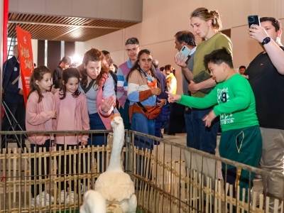 “广货行天下”助力“粤字号”农产品走得更远