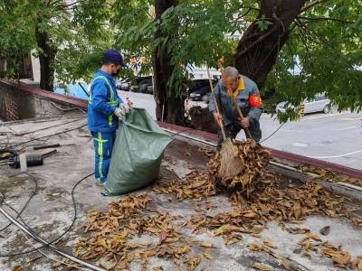 民呼我应解民忧，空司社区专项整治获好评