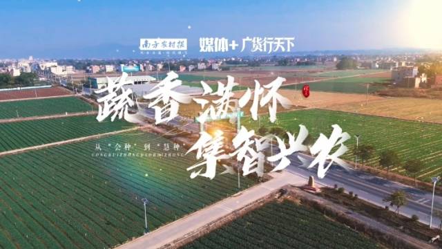 蔬香满怀 集智兴农