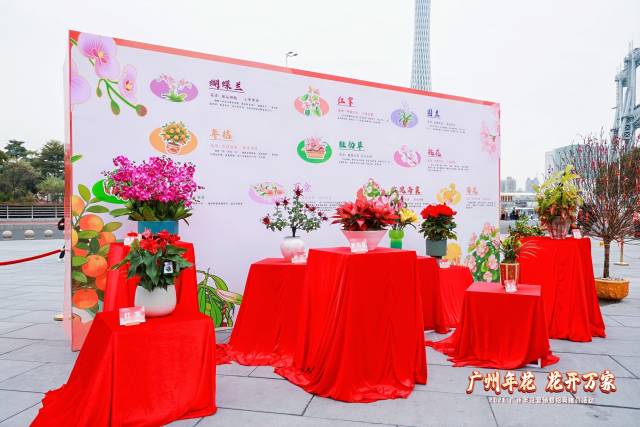 广州主产十大年花。