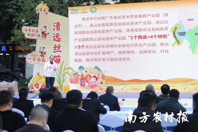 清远市农业农村局副局长李敏怀现场推荐清远丝苗米。