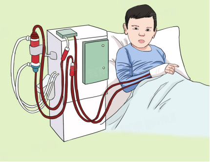 透析族运动指南：循序渐进护肾不受伤