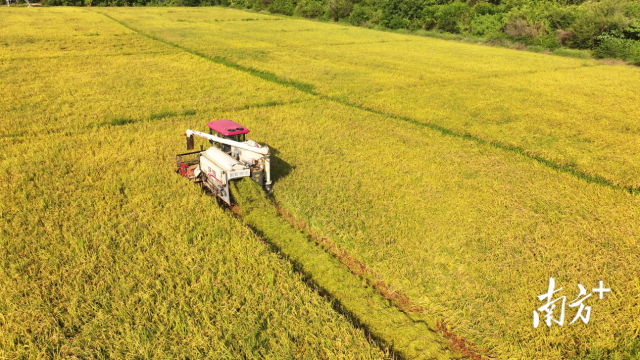 洪流村整合荒地120余亩，创新