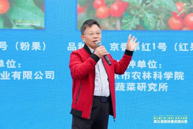 第五届樱桃番茄擂台赛专家评审团团长黎振兴发布樱桃番茄擂台赛评选结 第五届樱桃番茄擂台赛专家评审团团长黎振兴发布樱桃番茄擂台赛评选结