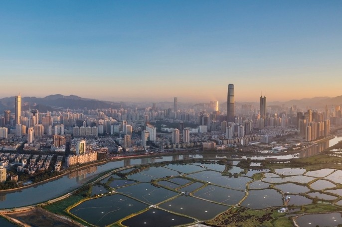 九市市委全会接连召开，释放哪些拼经济信号？丨珠三角观察