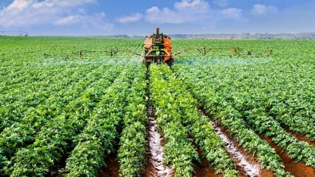 广东农垦：“红色引擎”驱动农业数智转型 | 党建领航 国企争先