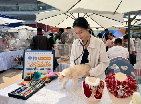 平等家动物医院主治医师黄恩宠。