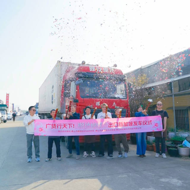 广货行天下，年花发车东南亚！23000株顺德蝴蝶兰迎春跨洋