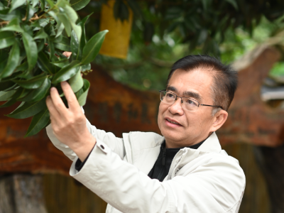 省政协委员欧阳建忠：延伸岭南佳果产业链，破解 “丰产不丰收”