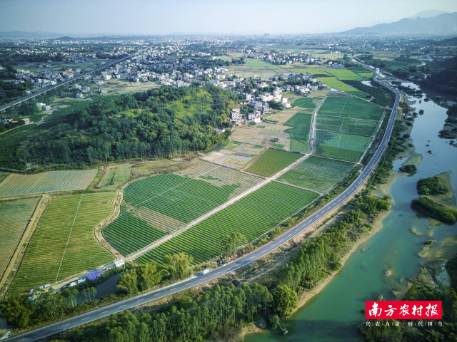“岭南蔬菜之乡”产业示范带。