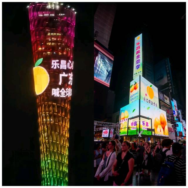 乐昌黄金柰李陆续点亮广州塔、美国纽约时代广场等地标。