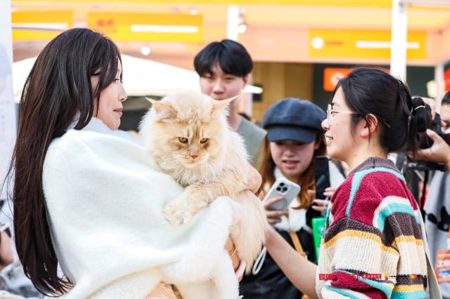 可爱的猫咪引得游人纷纷驻足互动、拍照打卡。