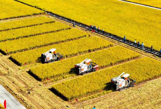 新会区文发区域农机社会化服务中心