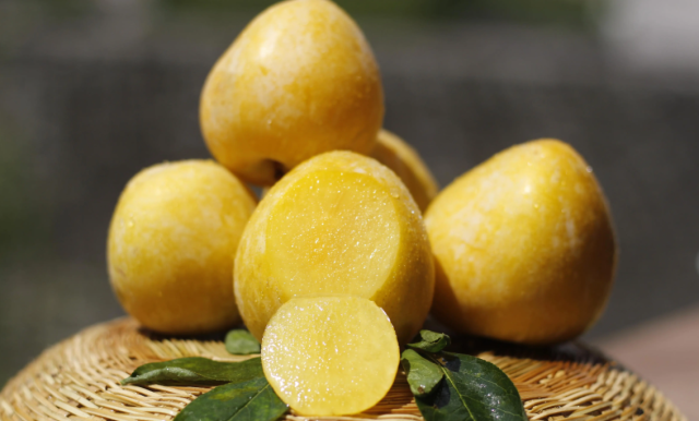 乐昌黄金柰李果肉金黄，甜美多汁。