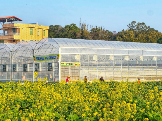 禾作·空中草莓园