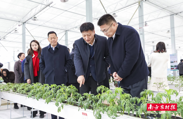 喻景权院士（右二）在“院士大棚”内。