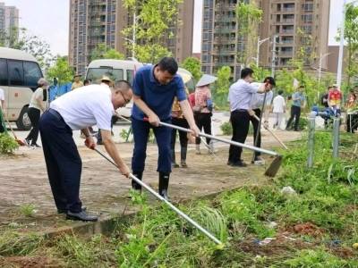 阳江：汇智共建 同心兴乡 | 阳江“百千万工程”特别报道