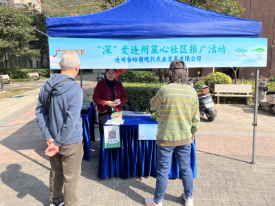 广货行天下，清甜入鹏城！连州菜心在深圳社区受热捧