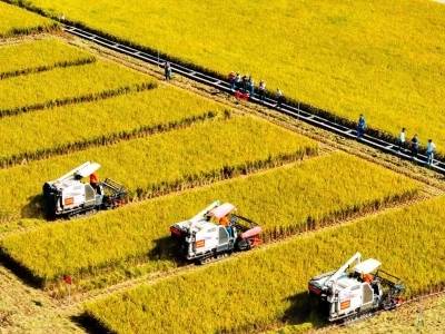 挥“农”墨于岭南大地，执“工”笔绘“两业融合”新篇