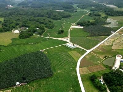 阳江：革故鼎新 城乡同频 | 阳江“百千万工程”特别报道