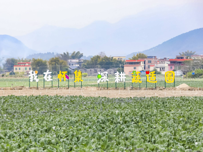 媒体+，如何让边界小城“一棵菜”百亿蝶变