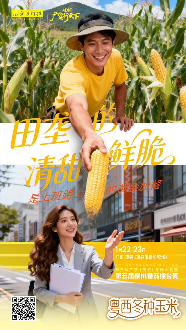 海报 | 冬种蔬菜 “鲜”人一步