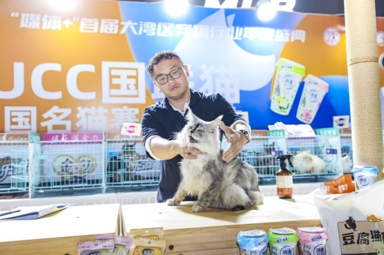 裁判正在对猫咪进行评分。