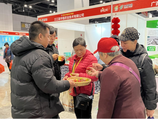 市民品尝五彩小番茄