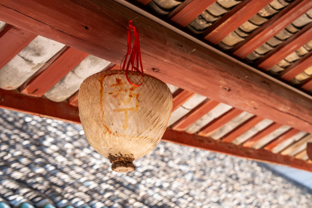 除了升“主灯”，有些添新丁的家庭还会在梁间自行系上小花灯。柯学潜 摄
