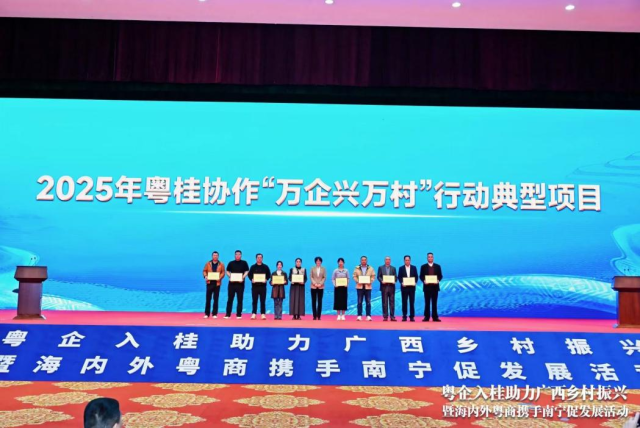 宁明丽宫获评2025年粤桂协作“万企兴万村”行动典型项目