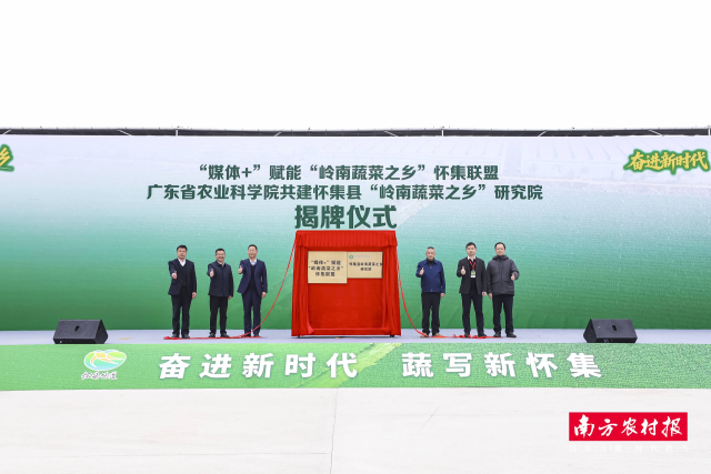 “媒体+”赋能“岭南蔬菜之乡”怀集联盟正式揭牌。