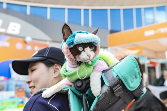 活动还吸引了不少宠物博主、网红猫前来。