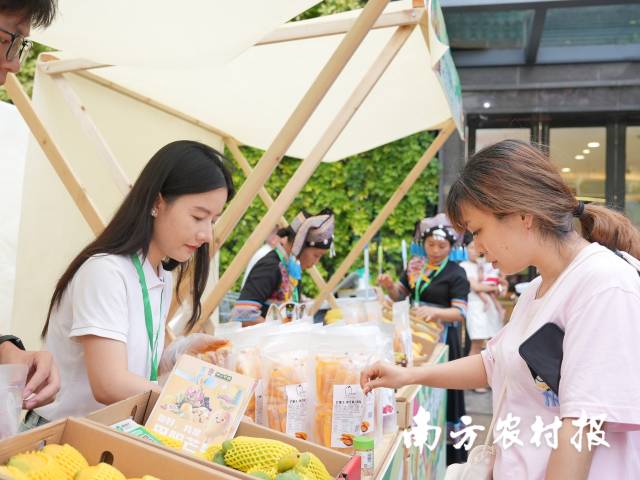 2025年7月，田阳芒果在珠海举行推介活动，受到消费者热捧。