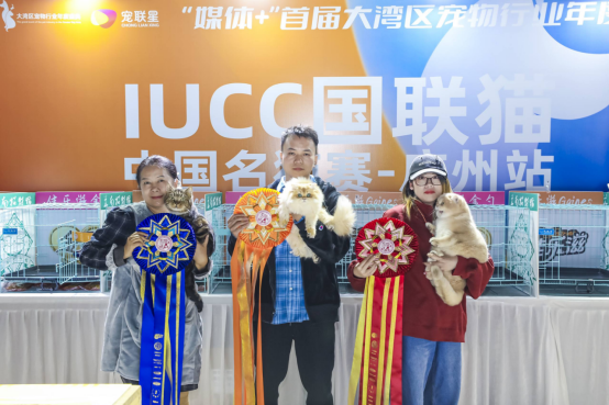 花谷猫舍负责人栀栀（右一）抱着荣获第一的猫。
