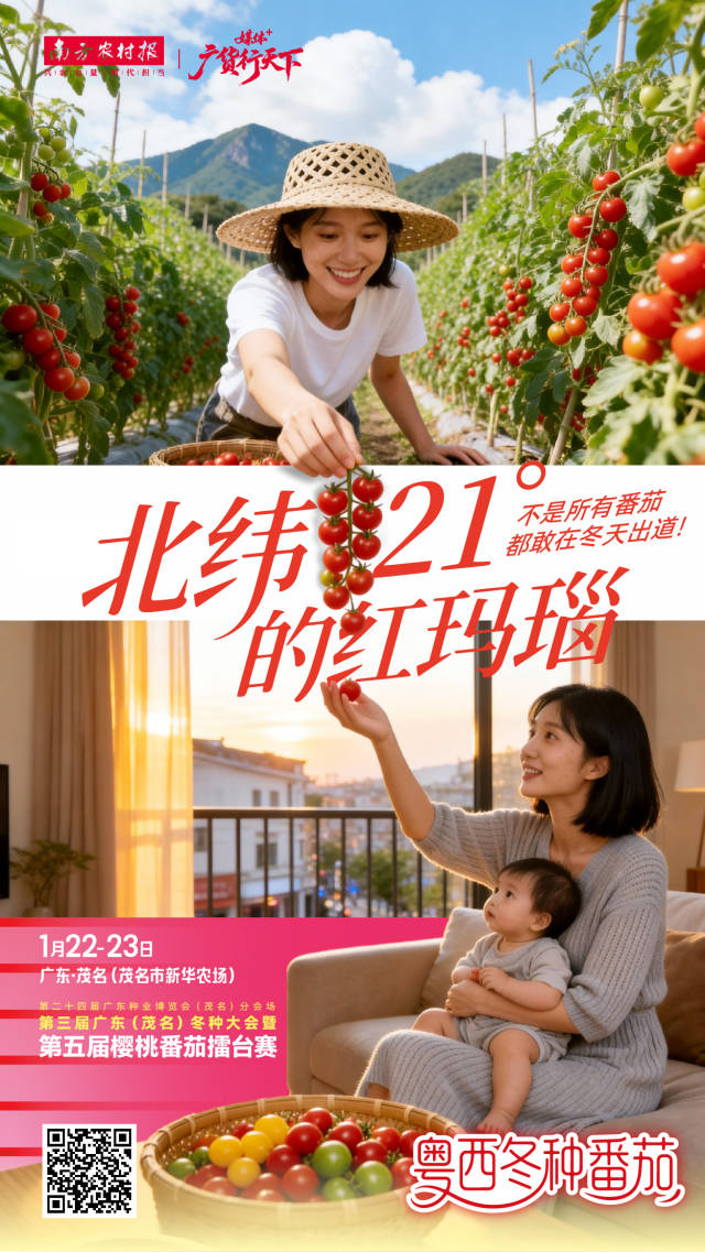 海报 | 冬种蔬菜 “鲜”人一步