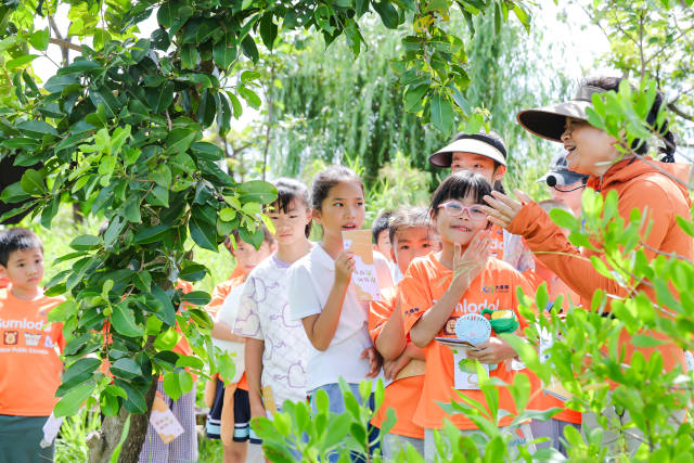 全国首个粤港澳三地联动、省级层面组织的大型自然观察赛事——粤港澳自然观察大赛