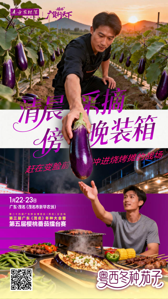 海报 | 冬种蔬菜 “鲜”人一步