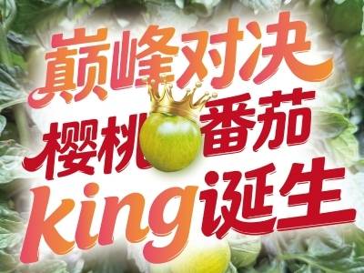 巅峰对决 樱桃番茄king诞生