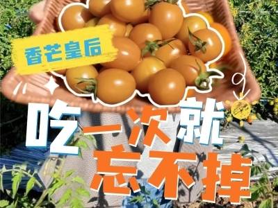 香芒皇后：吃一次就忘不掉