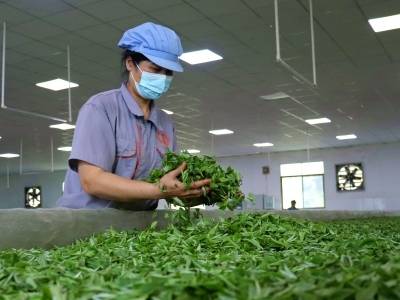 代表委员热议广货：做好“土特产”大文章