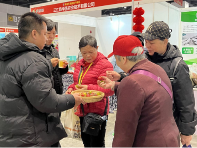 添年味 ，促增收！田阳“壮山农鲜”好物亮相广西脱贫地区农产品年货大集