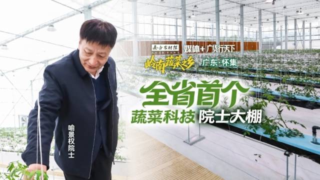 全省首个蔬菜科技院士大棚