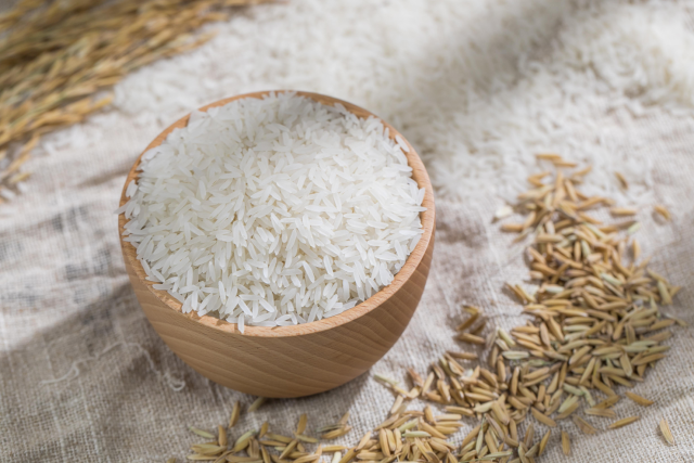 增城丝苗米被称为“米中碧玉”。