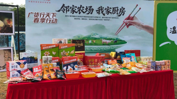 中华土鸡系列产品